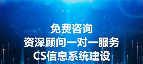 昌旭咨詢 CS信息系統(tǒng)建設和服務能力申報條件與信息咨詢服務